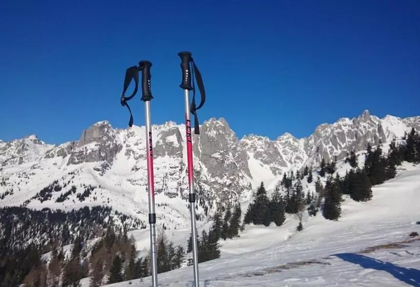 ホテル Vordersattlegghofhütte