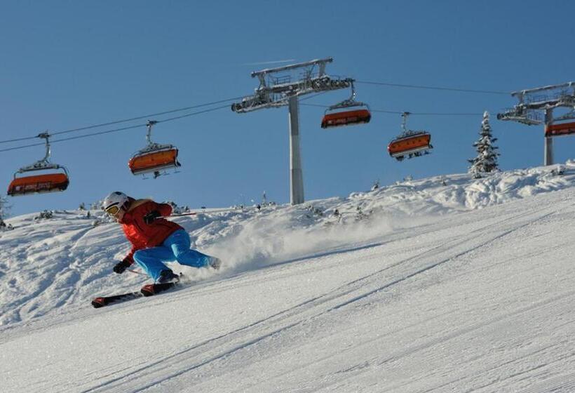 בית מלון כפרי Vordersattlegghofhütte