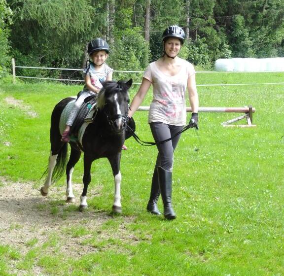 בית מלון כפרי Vordersattlegghofhütte