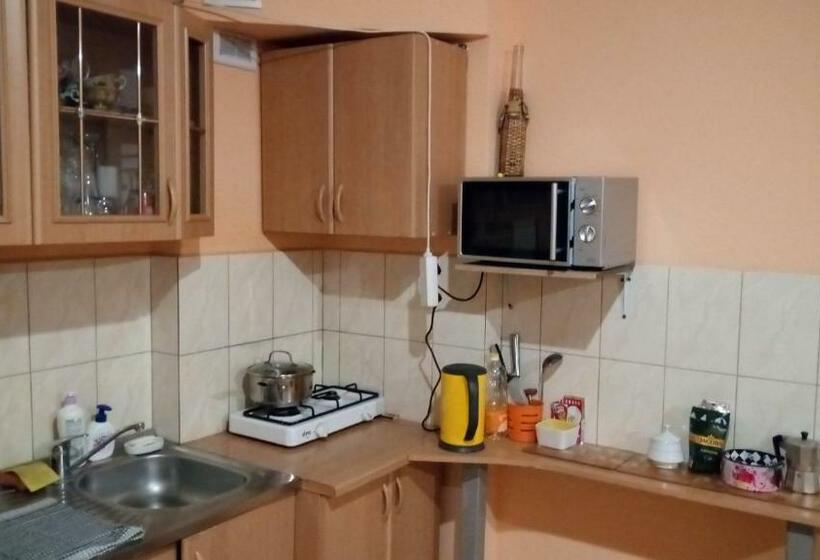 پانسیون Aleks