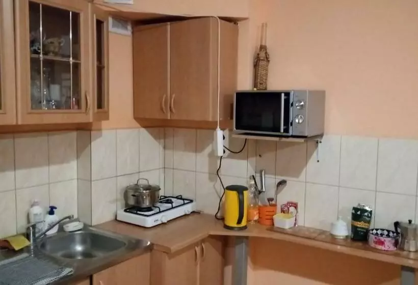 پانسیون Aleks