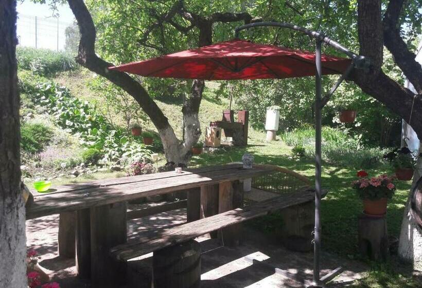 پانسیون Aleks