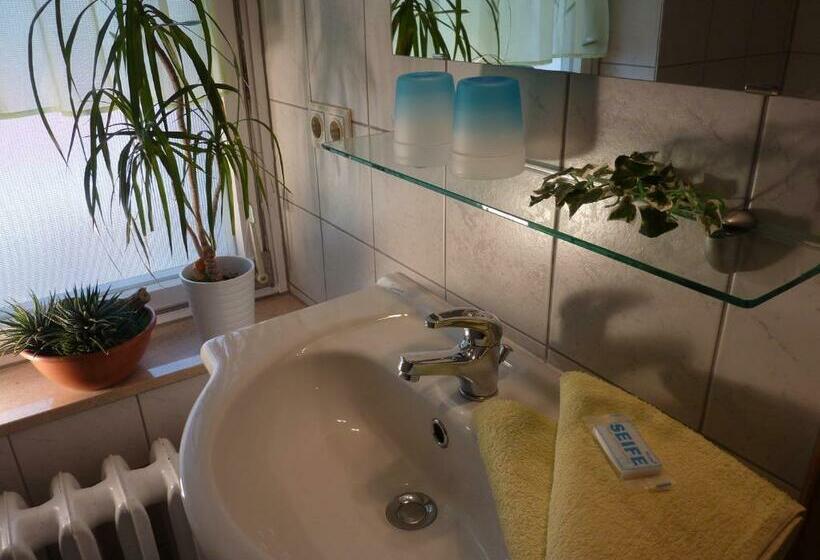 بنسيون Falkenstein Hütten