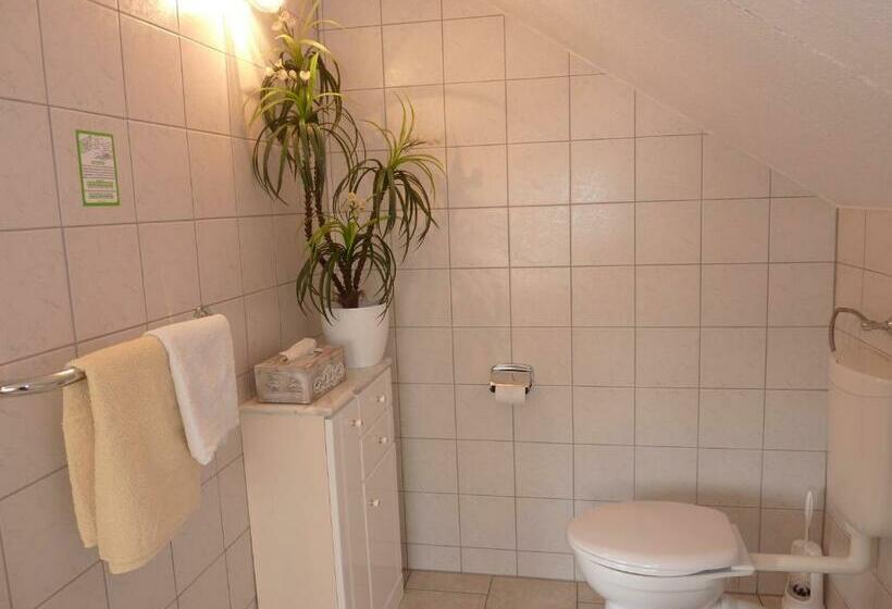 بنسيون Falkenstein Hütten