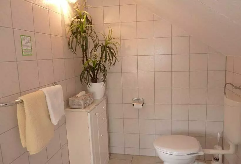 پانسیون Falkenstein Hütten