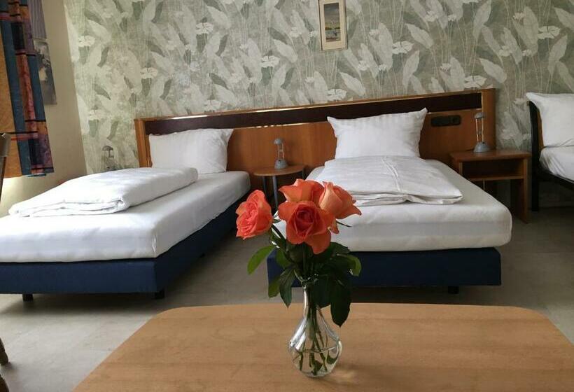 펜션 Gästezimmer Siminciuc