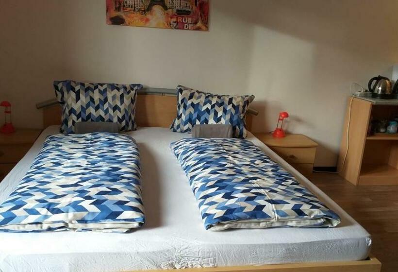 펜션 Gästezimmer Siminciuc