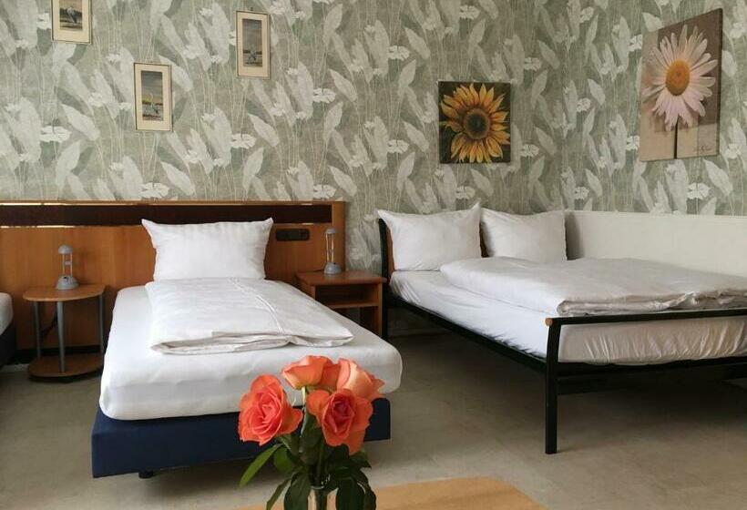 펜션 Gästezimmer Siminciuc