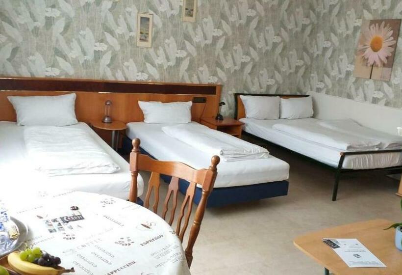 펜션 Gästezimmer Siminciuc