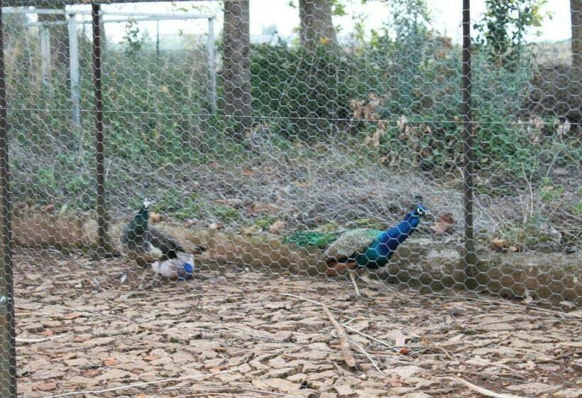 펜션 Quinta Do Caçador