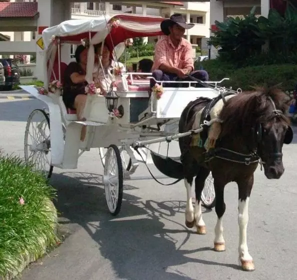 Bukit Gambang Resort City