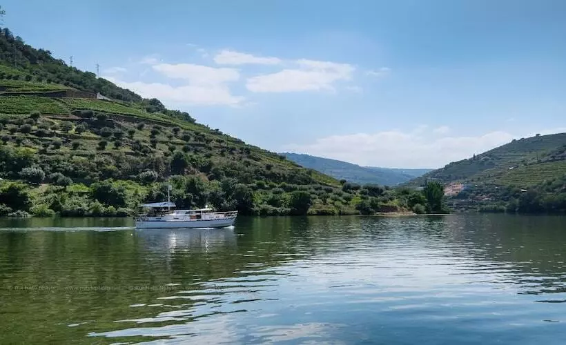 هتل روستایی Quinta Nova Winery House   Relais & Châteaux