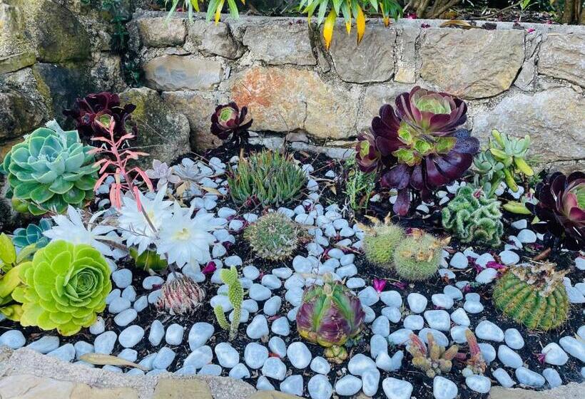 مبيت وإفطار Mas Lou Piastoun