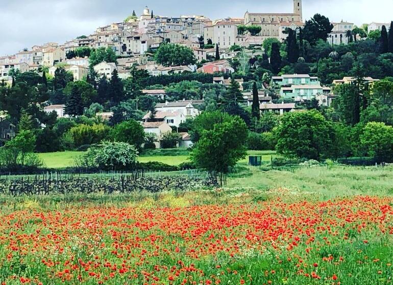 مبيت وإفطار Mas Lou Piastoun