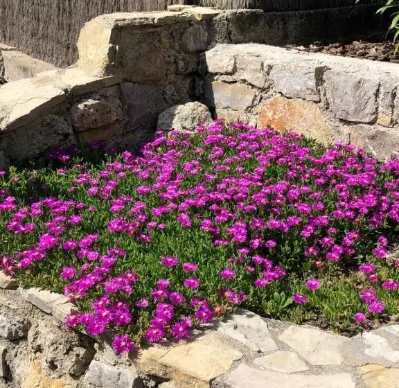 Aamiaismajoitus (B&B) Mas Lou Piastoun