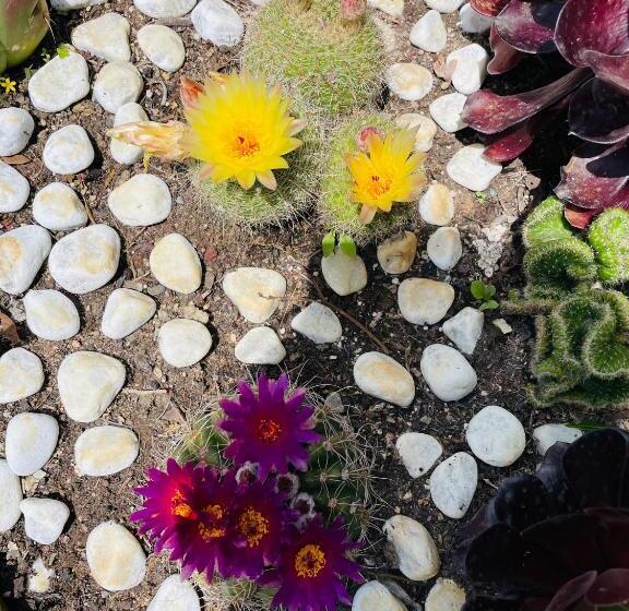 مبيت وإفطار Mas Lou Piastoun