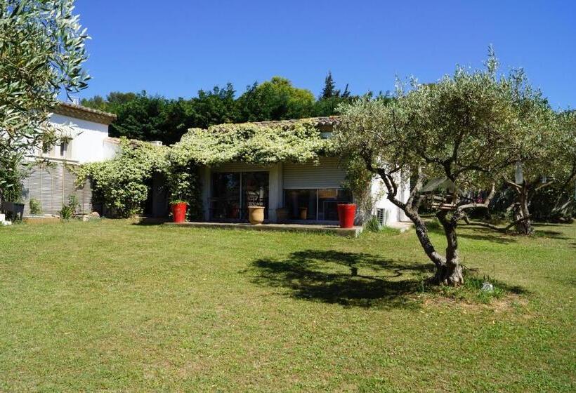 Bed and Breakfast Studio Au Coeur De La Petite Camargue