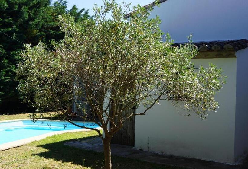 Bed and Breakfast Studio Au Coeur De La Petite Camargue