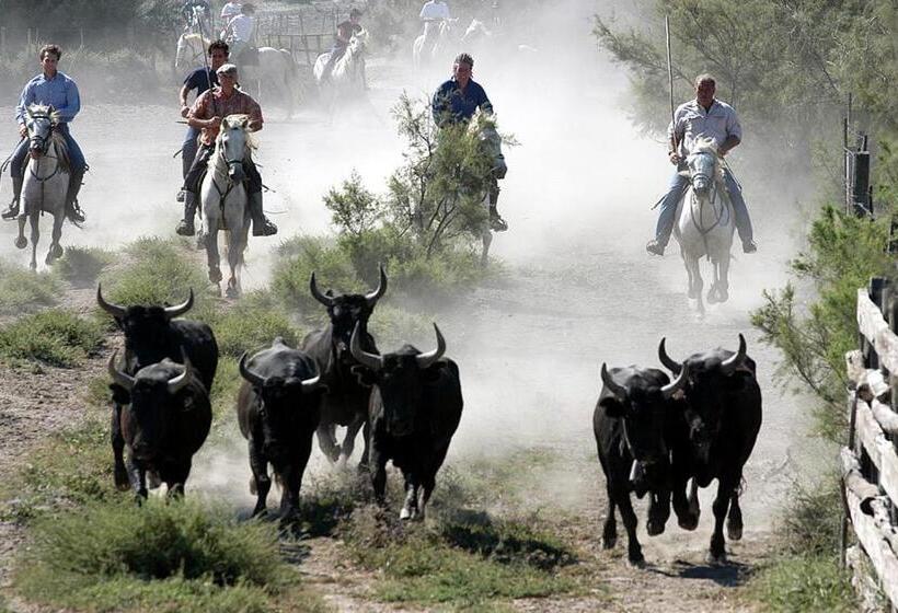 Bed and Breakfast Studio Au Coeur De La Petite Camargue