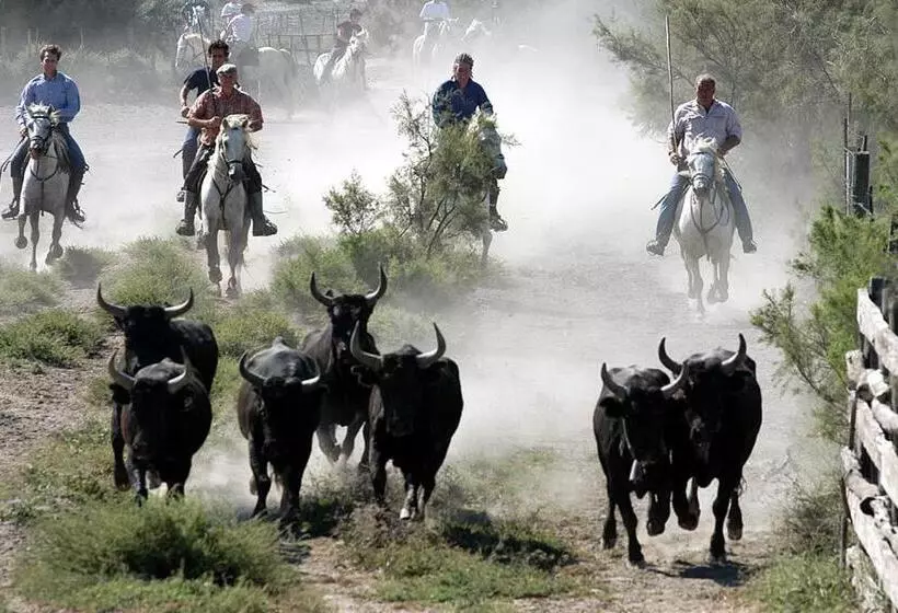 ベッドアンドブレックファースト Studio Au Coeur De La Petite Camargue