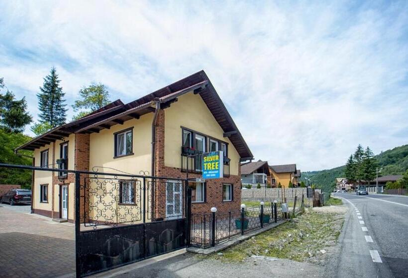 تختخواب و صبحانه Silver Tree