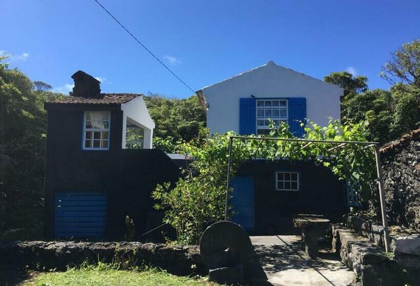 هتل Adega Guest House