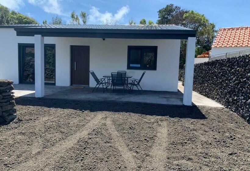 هتل Adega Guest House