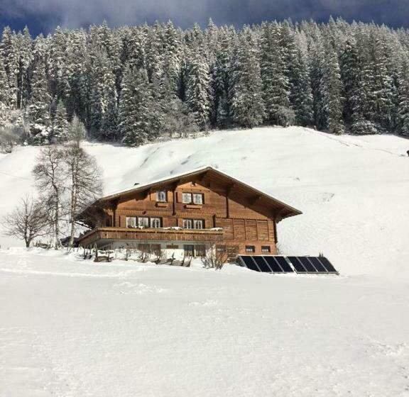 פנסיון Abelied