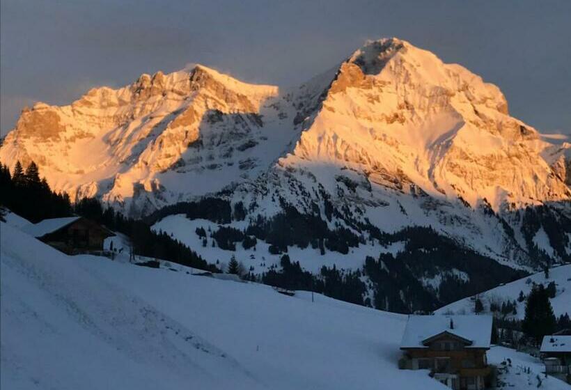 פנסיון Abelied