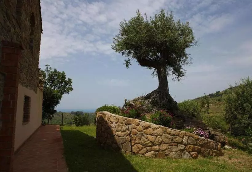ホテル Poggio Pozzetti