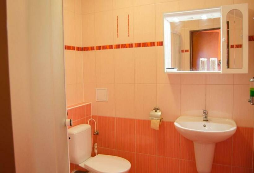 膳宿费 Penzion Vinárna U Hroznu