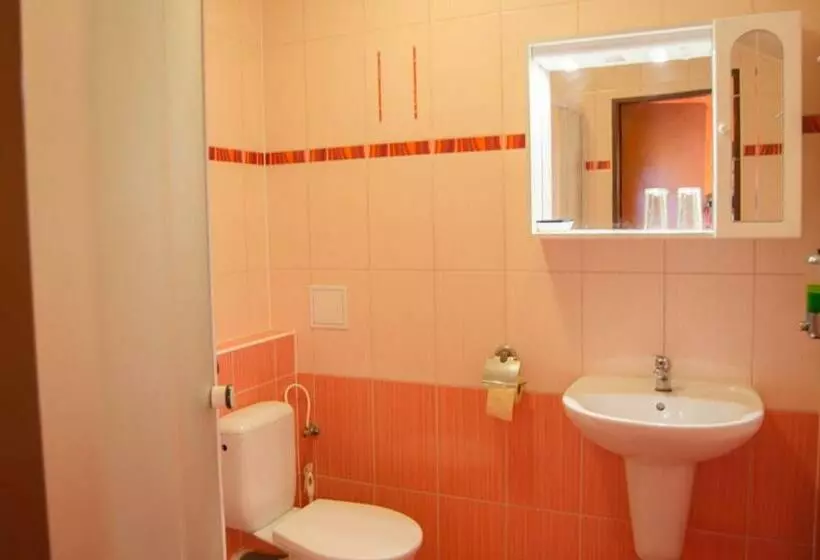 ペンション Penzion Vinárna U Hroznu