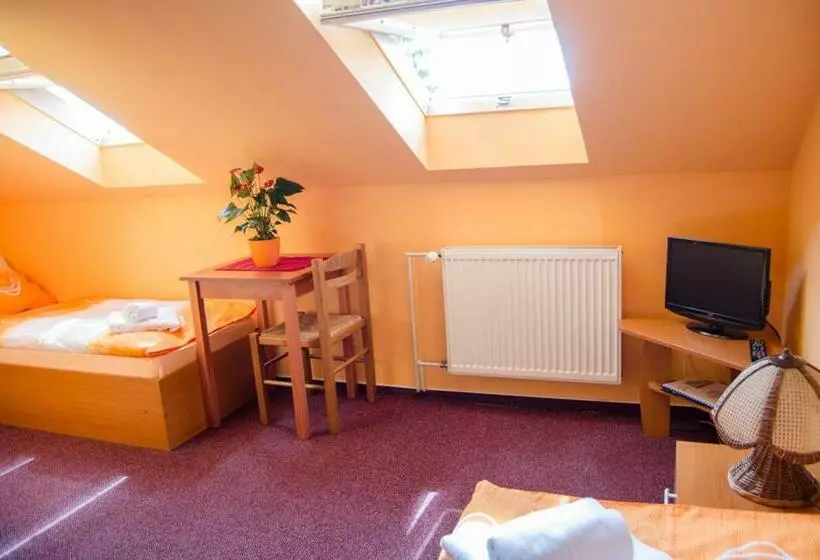 ペンション Penzion Vinárna U Hroznu