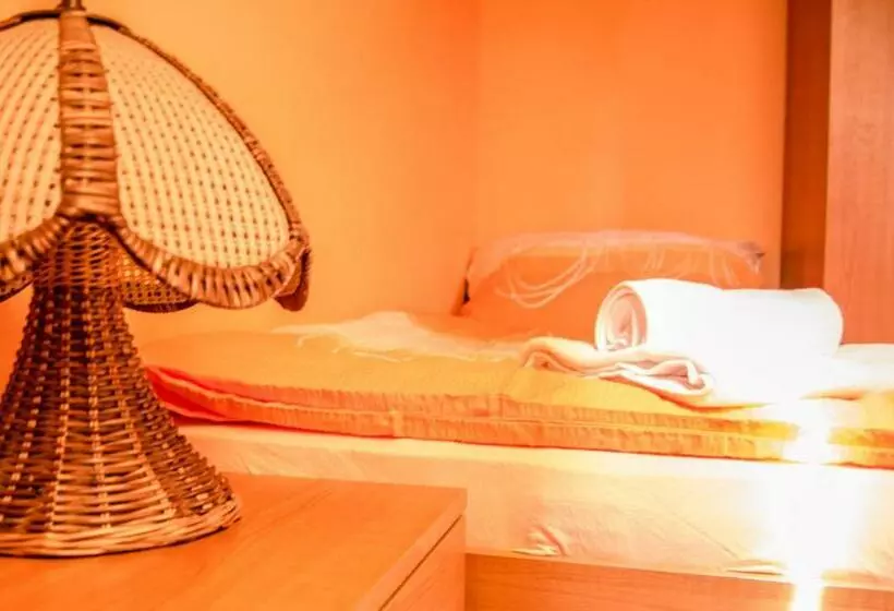 ペンション Penzion Vinárna U Hroznu