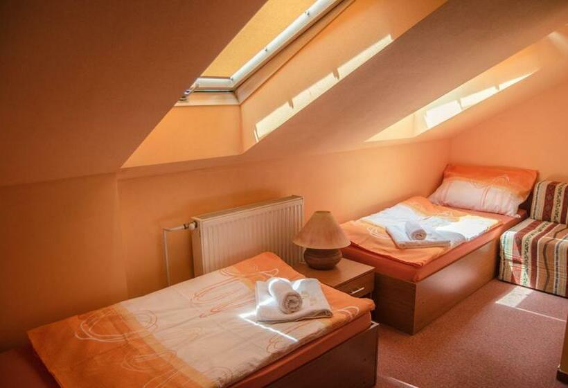 膳宿费 Penzion Vinárna U Hroznu