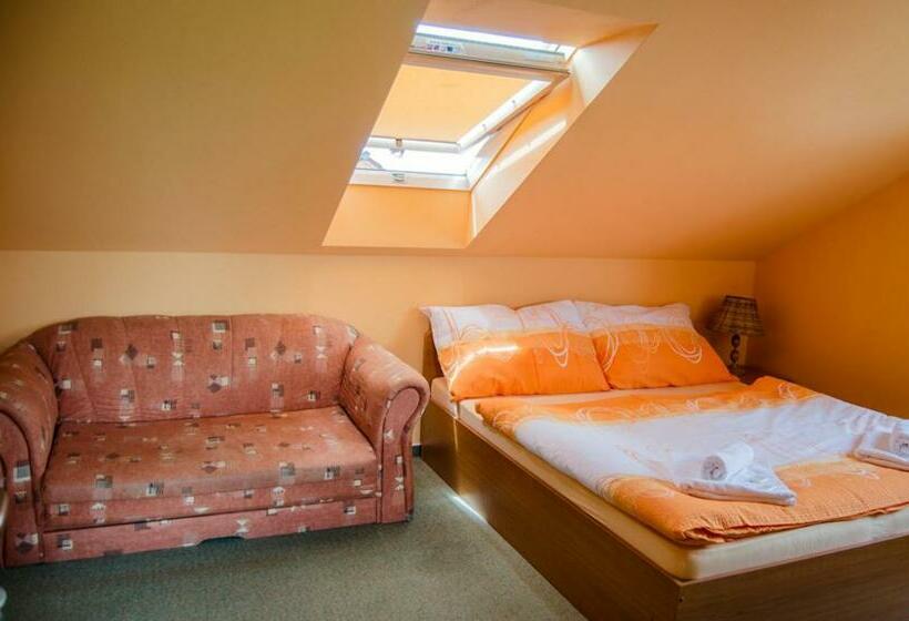 膳宿费 Penzion Vinárna U Hroznu