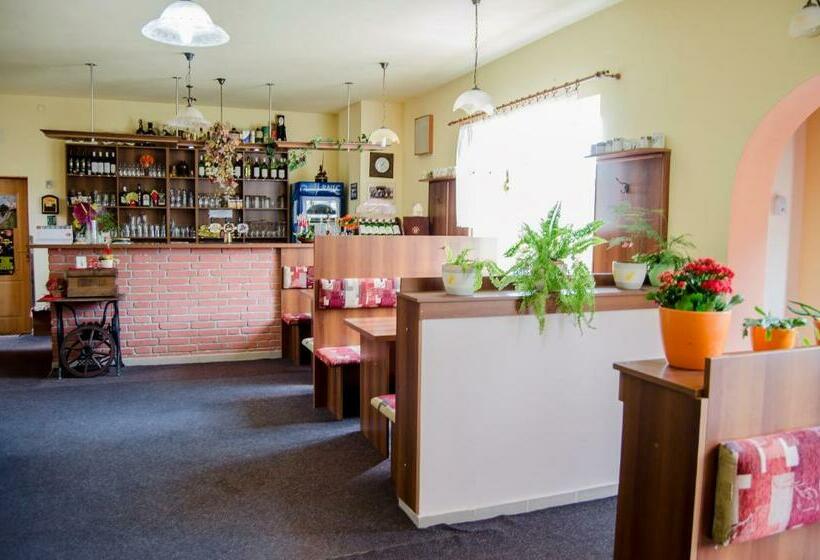 膳宿费 Penzion Vinárna U Hroznu