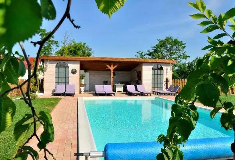 Aamiaismajoitus (B&B) Tisza Topic