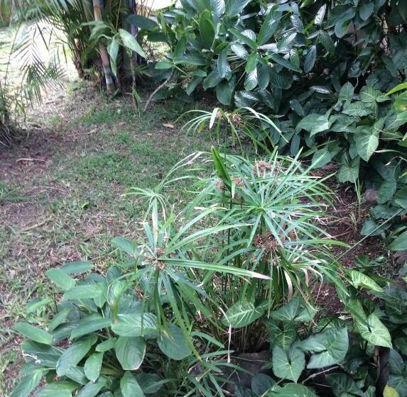 تختخواب و صبحانه Villa Deluy