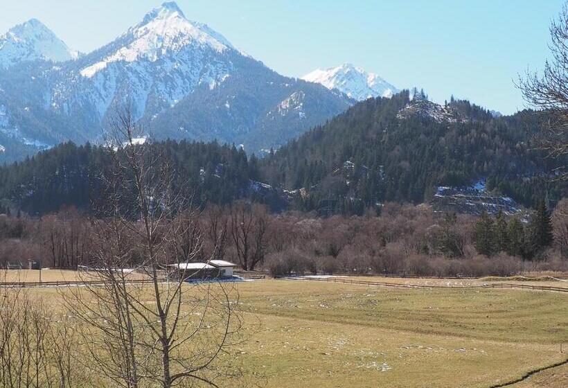 Отель Haflingerhof Appenstein