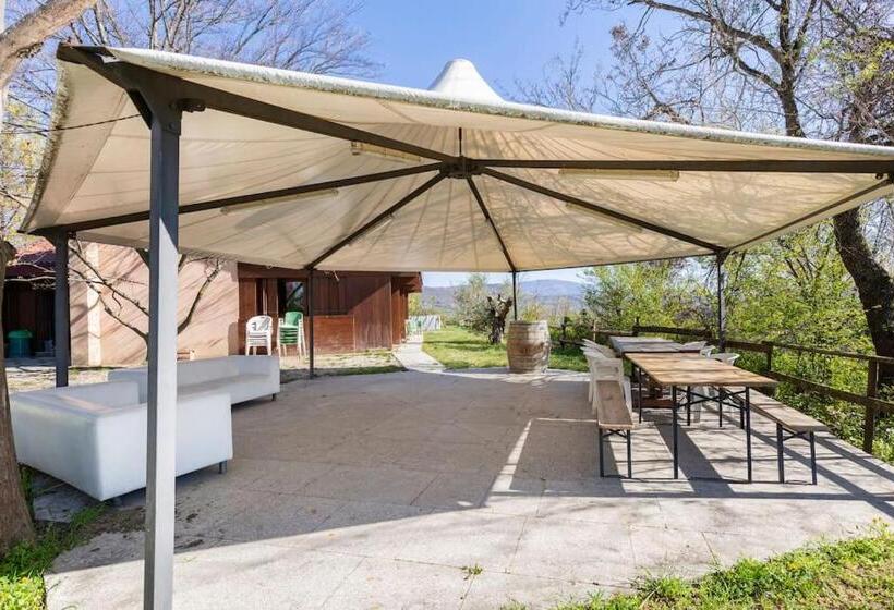 ホテル Oasi Di Mastarone   Il Vino E Le Rose