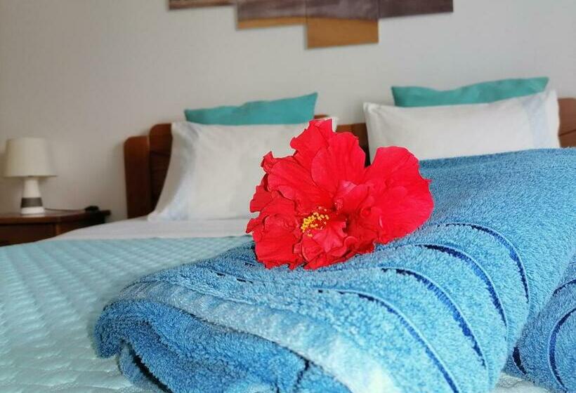 膳宿费 Azimute Guest House