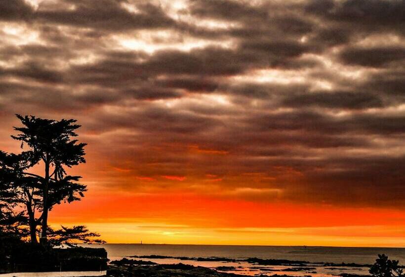 پانسیون Appartement Roc H Avel   Front De Mer, Vue Sur Mer Et Jardin Ensoleillé Sans Vis à Vis