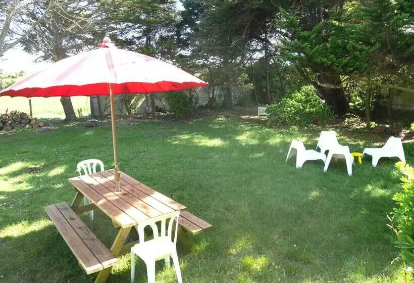 ペンション Appartement Roc H Avel   Front De Mer, Vue Sur Mer Et Jardin Ensoleillé Sans Vis à Vis