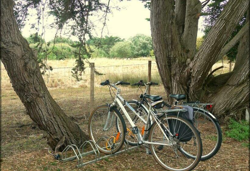 پانسیون Appartement Roc H Avel   Front De Mer, Vue Sur Mer Et Jardin Ensoleillé Sans Vis à Vis