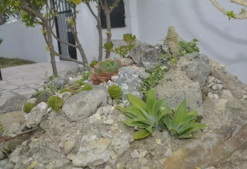 ユースホステル Os Piratas