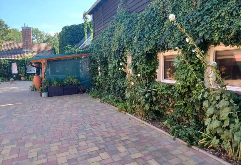 Majatalo Fewo S Runde Wiese Rw