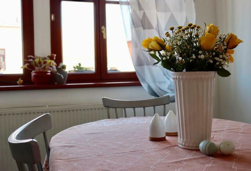 Panzió Penzion U Kapra