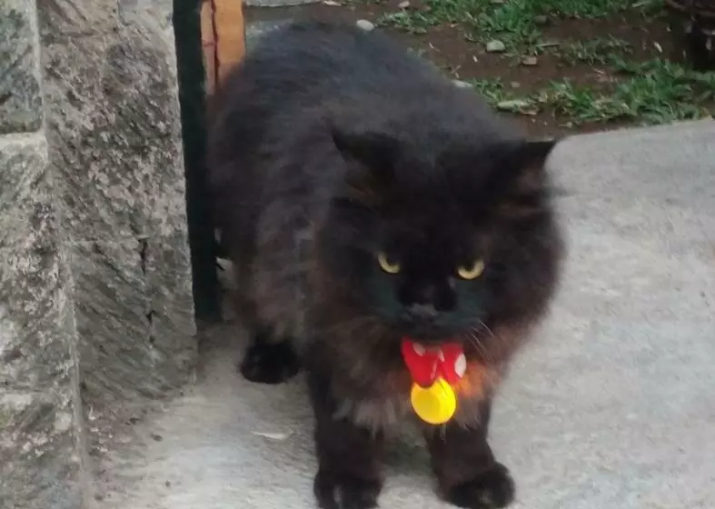 پانسیون Shalana Homestay  Formerly Teka Teki House