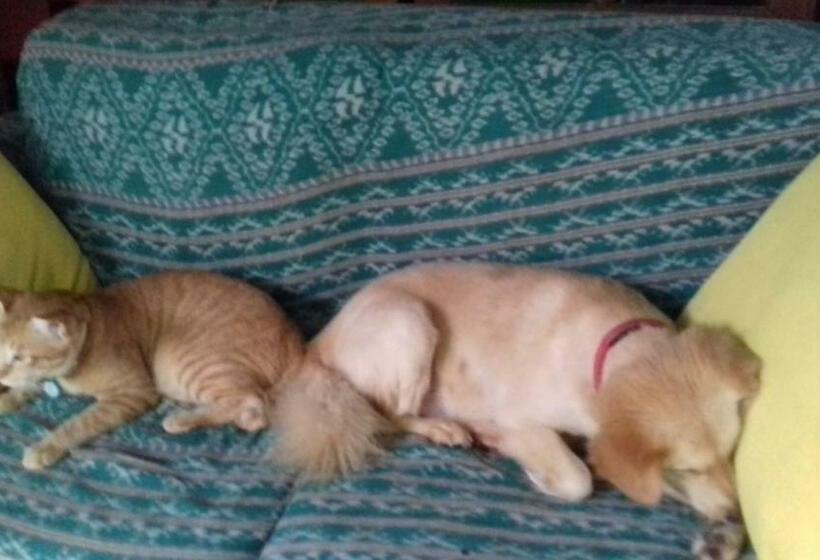 펜션 Shalana Homestay Formerly Teka Teki House